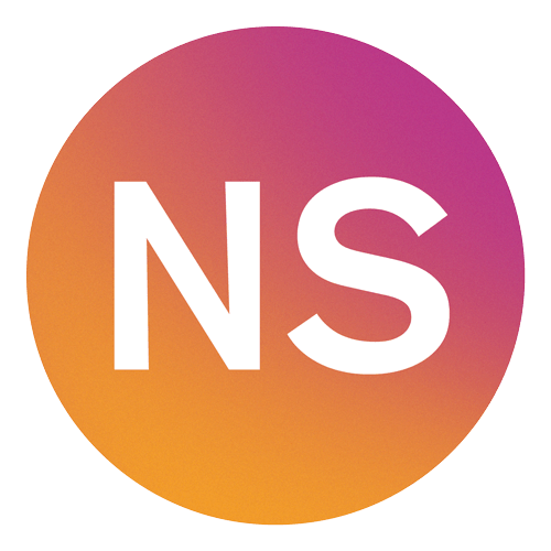 Icon NS Noah Stein